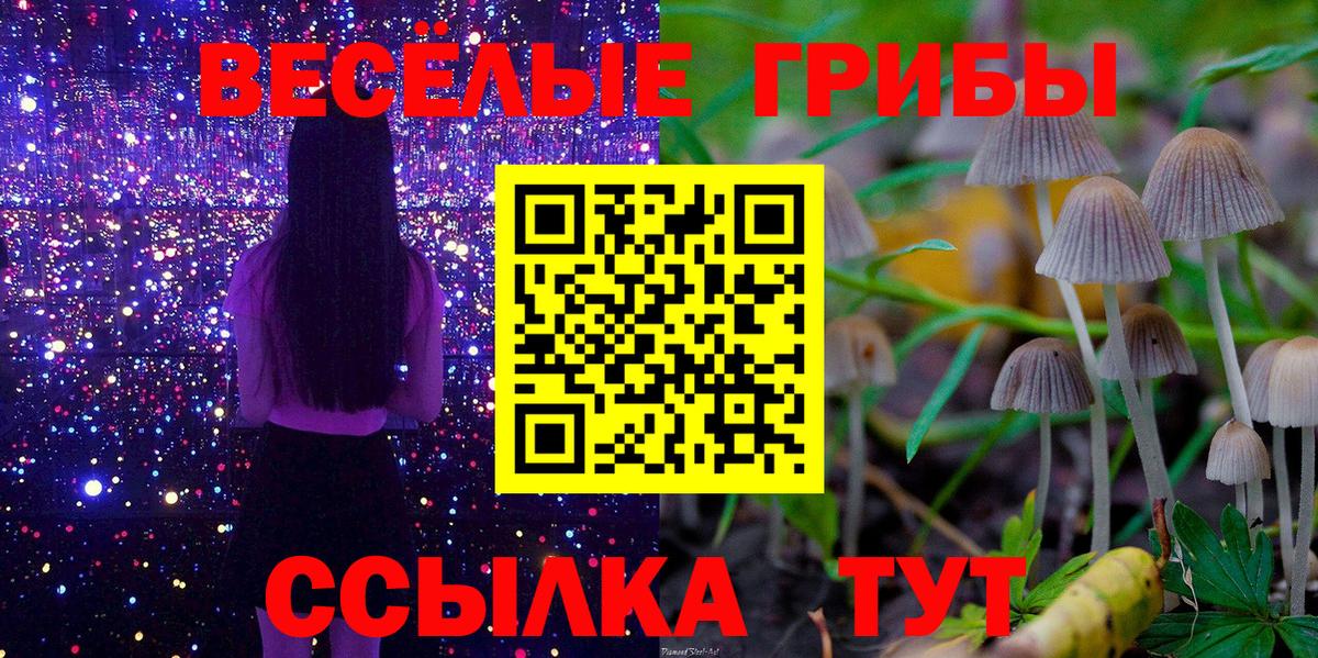 Галлюциногенные грибы ЛСД  Галлюциногенные грибы мицелий  Вход с VPN  Азов 